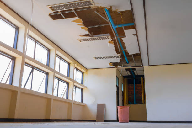 Best Water damage mitigation services  in Boardman, OR