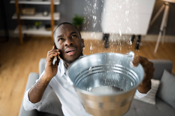 Best Professional water damage repair  in Boardman, OR