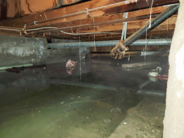 Best Water damage restoration experts  in Boardman, OR