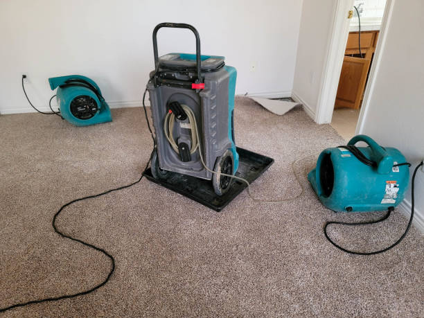 Best Water damage contractors near me  in Boardman, OR