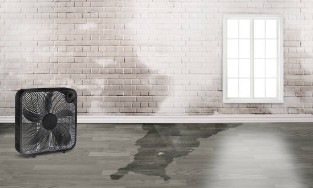 Best Water damage restoration mold remediation  in Boardman, OR