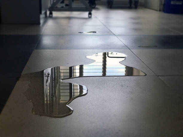 Best Water damage cleanup near me  in Boardman, OR