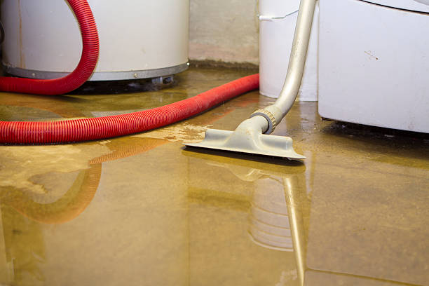 Best Water damage restoration near me  in Boardman, OR